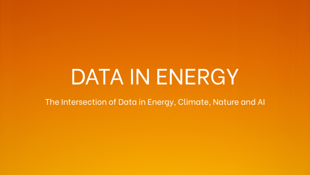 The Hidden Costs and Unexpected Gifts of AI in Energy and Nature